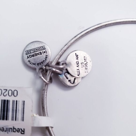 Alex and Ani Buddha Charm Bangle Braclet - Picture 3 of 4